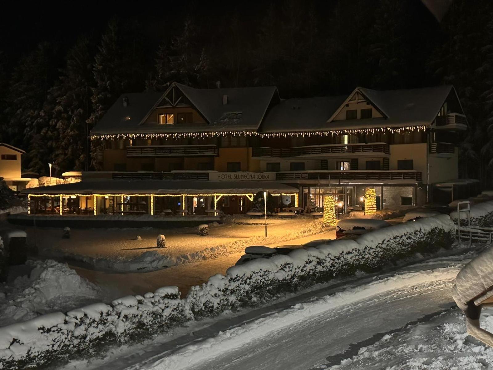 Snow Lipno Apartamento *